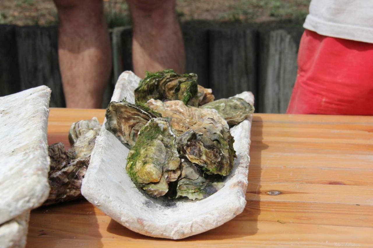 Appartamento Les Pieds Dans L'Eau Arcachon Esterno foto